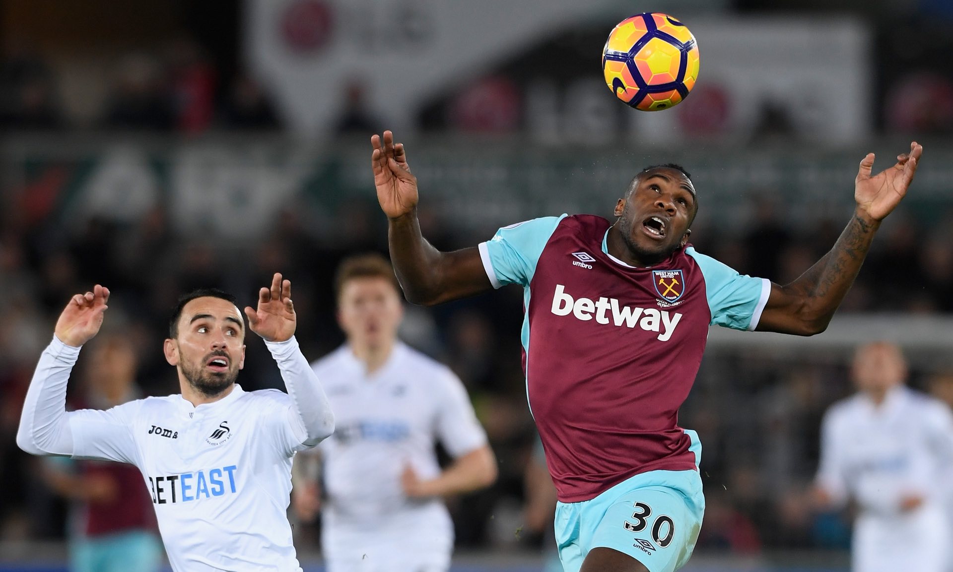 了可靠的依 了可靠的依